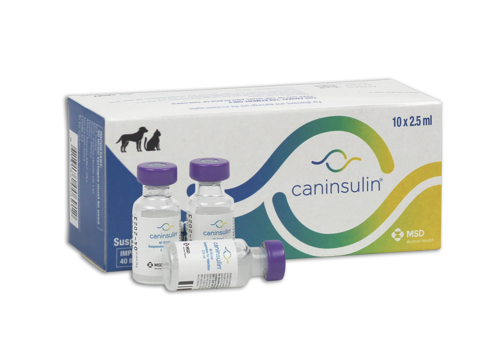 Insulin for hot sale cats
