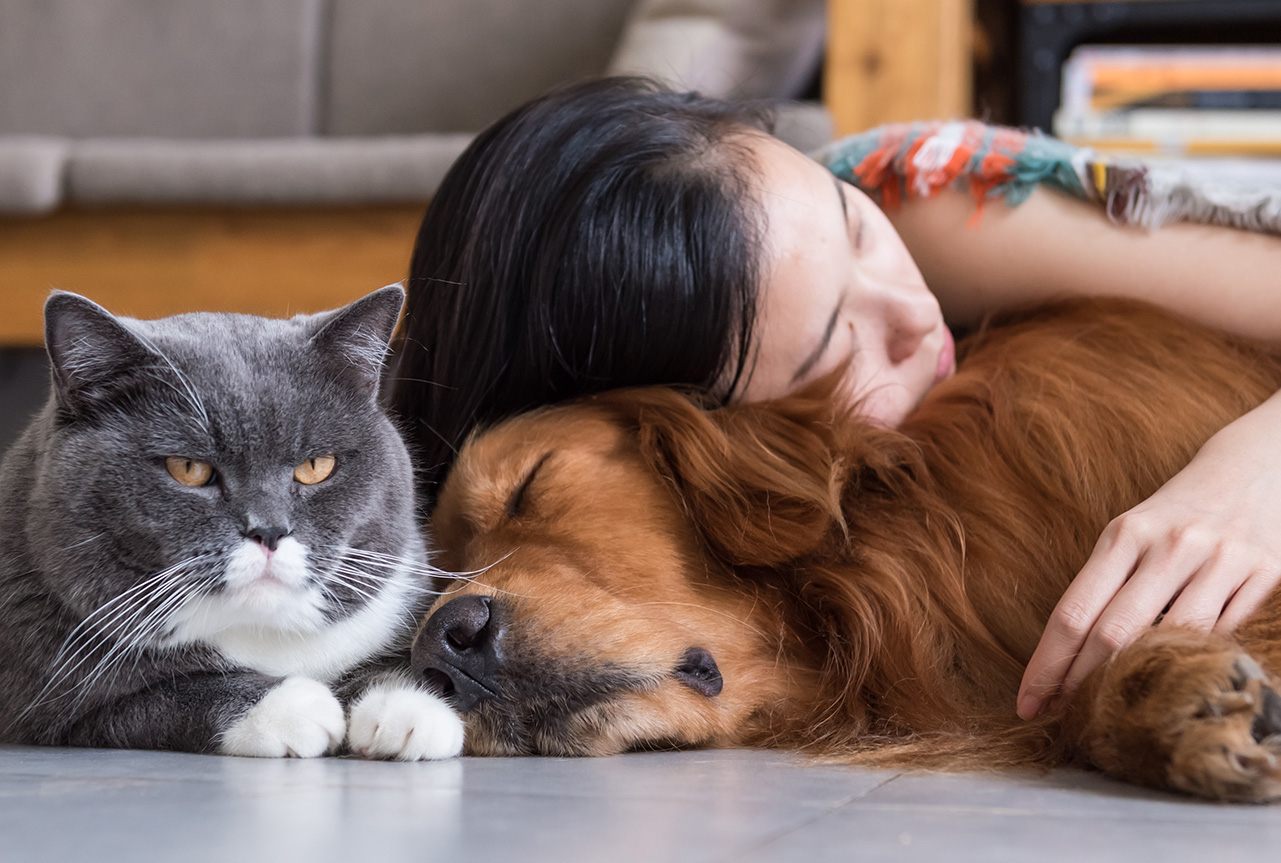 Caninsulin® Insulin for Diabetes in Dogs and Cats